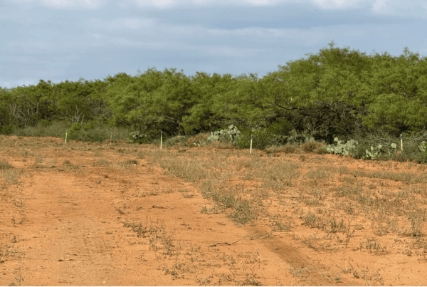 Why South Texas Is the Perfect Place to Build Your Legacy 8 Why South Texas Is the Perfect Place to Build Your Legacy -