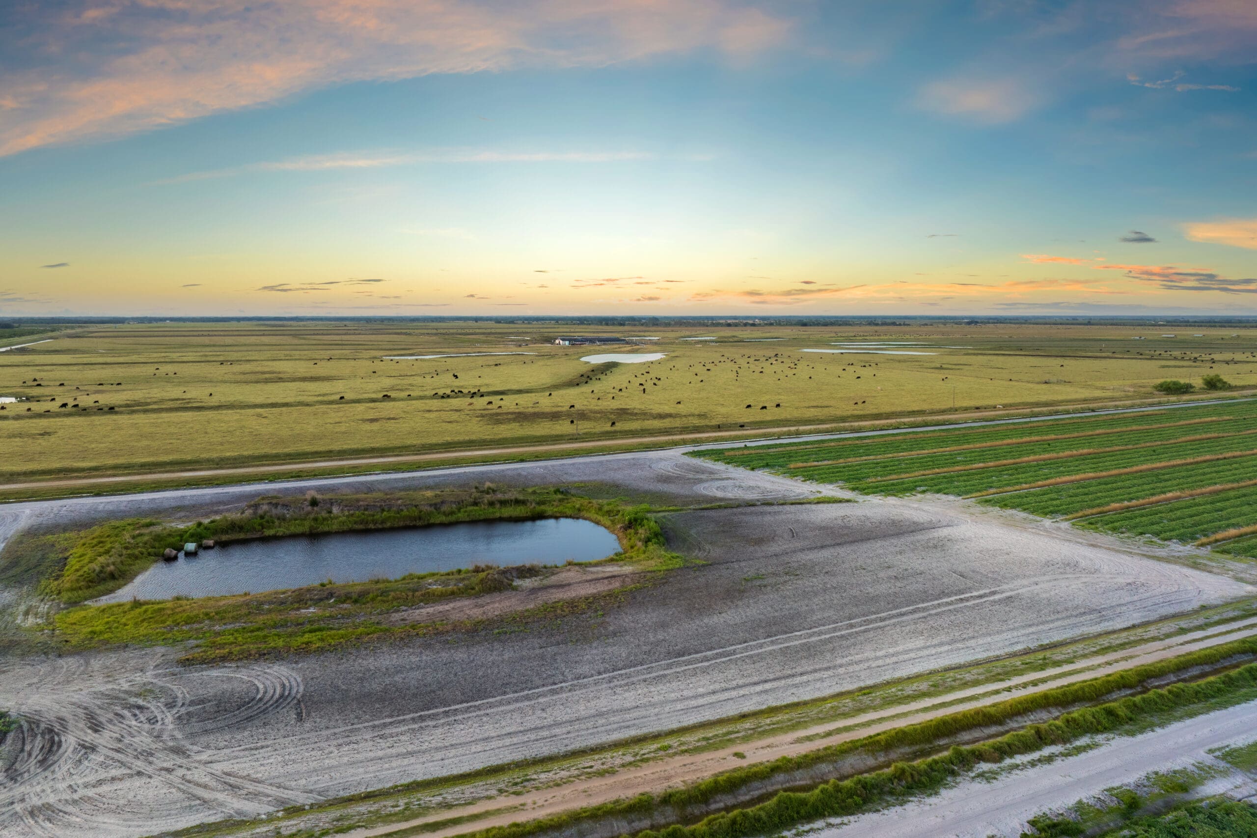 Master-Planned Communities: What Makes Talise Different?