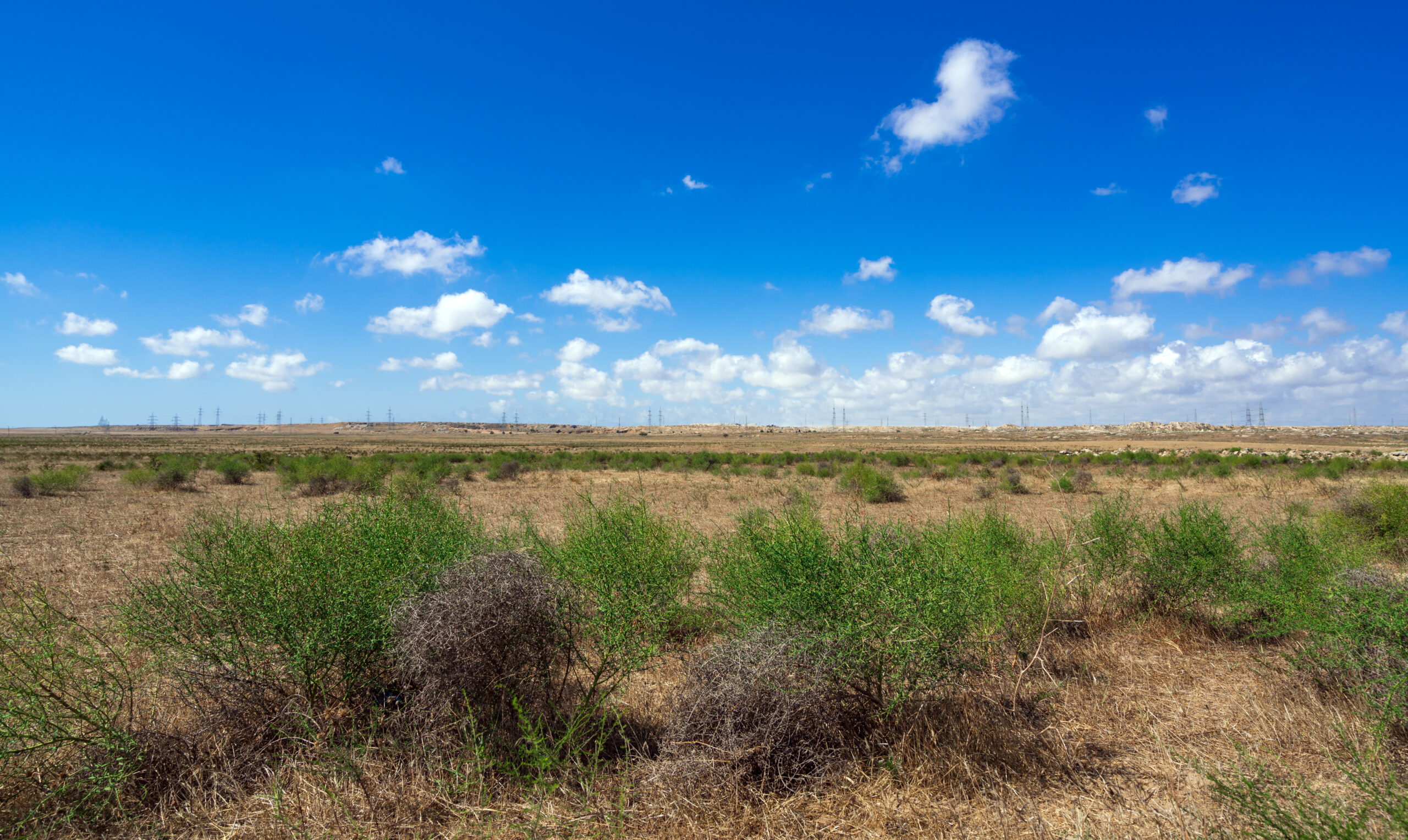 What Is a Master Planned Community?